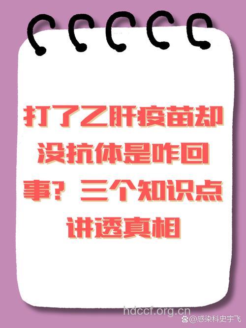 为什么打了乙肝疫苗却没有抗体