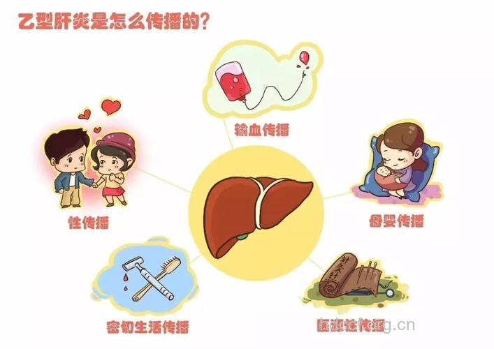 乙肝传播的途径 家族性乙肝感染要小心