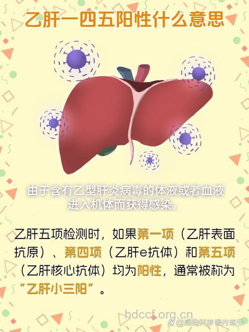 乙肝贫血跟肝脏息息相关