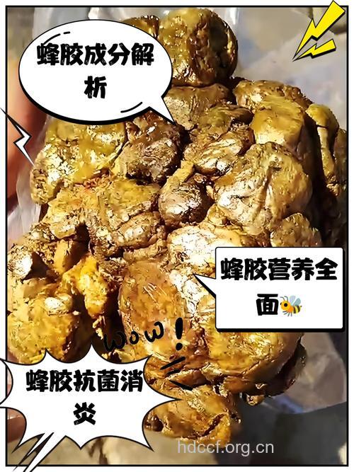 黑蜂胶抑制乙肝不靠谱 乙肝吃什么食物