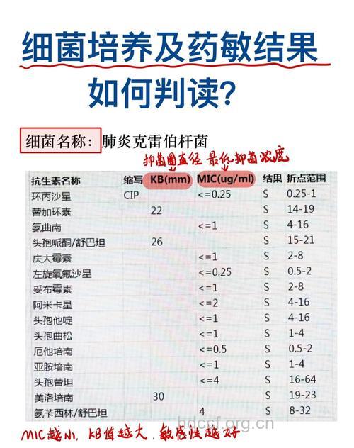 解析药物过敏是如何发生的
