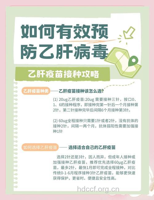 乙肝疫苗使用 最新WHO指南这么说