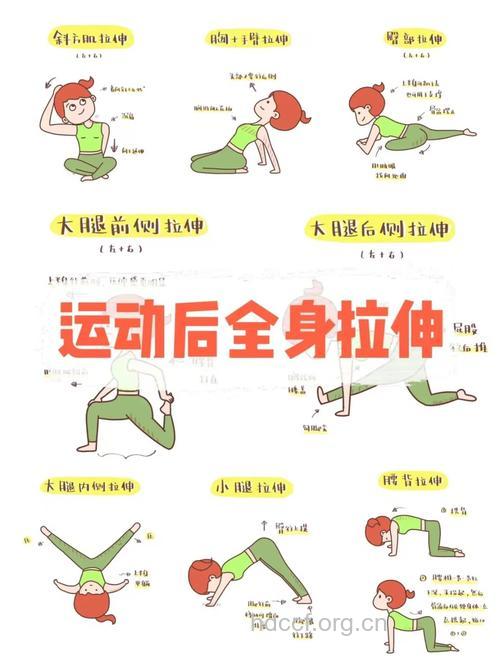 教你做运动之后的放松