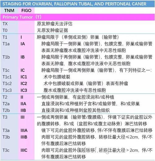 卵巢癌怎么辨证分型呢