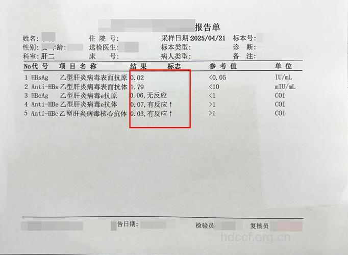 判断乙肝转阴的指标
