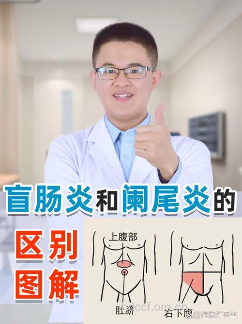 怎么区别阑尾炎和胃肠疾病