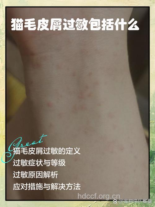 家猫为什么会导致过敏