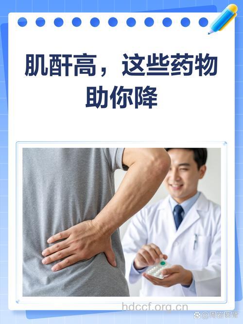 降酶高手是什么