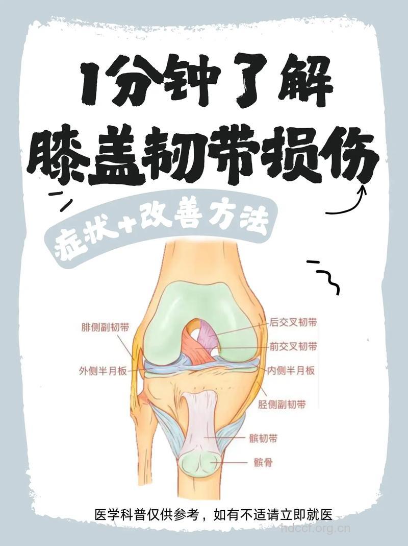 怎样预防膝关节韧带损伤