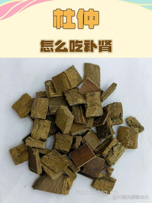 杜仲是补肝益肾佳品