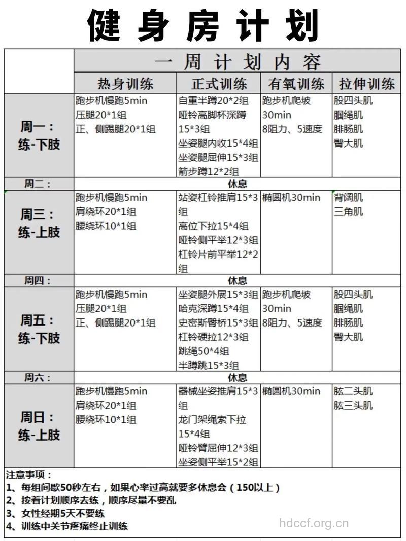 健身入门训练计划单
