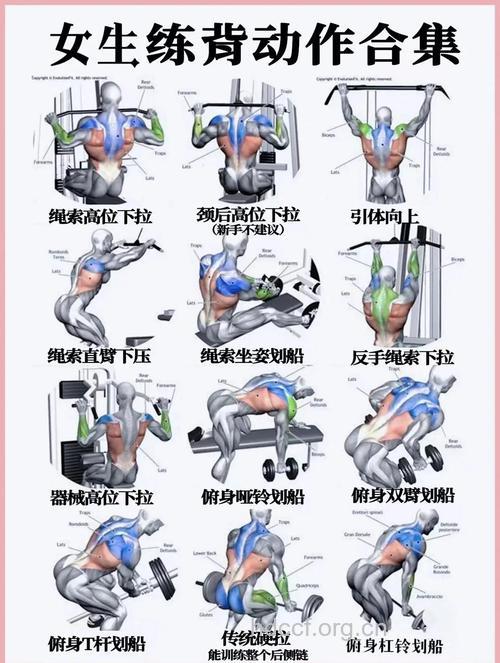 四种健身方案 塑出完美体形