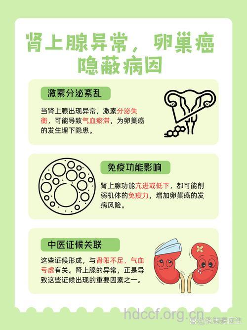 中医分析卵巢癌病因