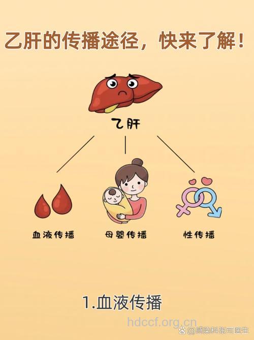 乙肝传播途径有几种