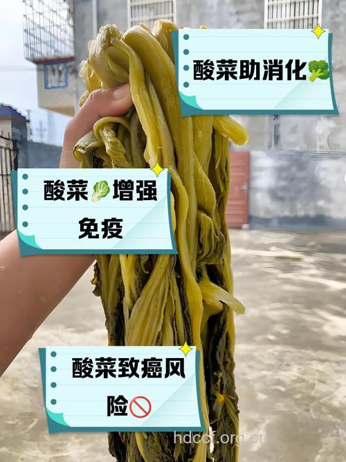 常吃酸菜有可能引起食道癌