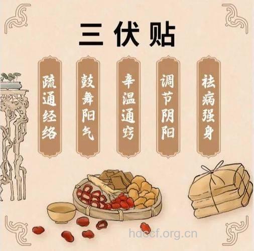 三伏贴不是所有过敏儿的救星