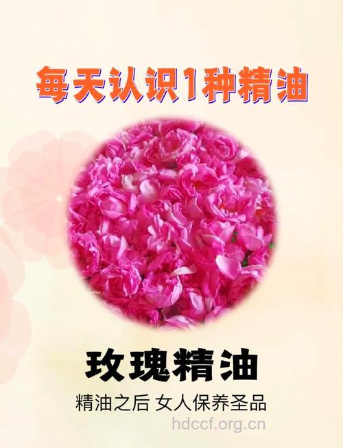 玫瑰精油和亚乳杆菌合成物或能抑制过敏