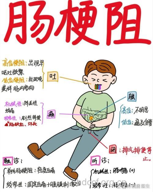 何为麻痹性肠梗阻