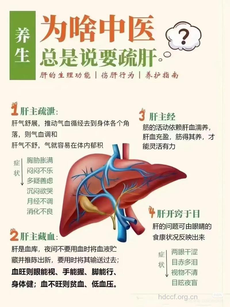 治肝病 不能任性乱为