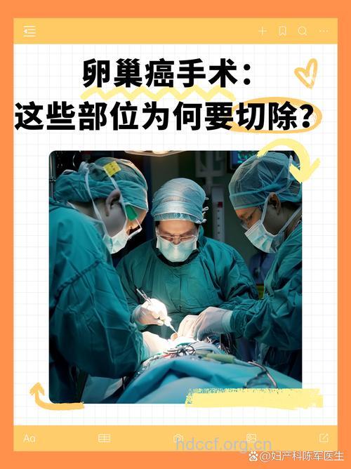 卵巢癌手术治疗的新主张