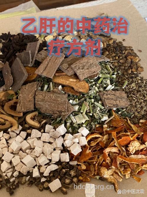 中医:慢性乙肝用药经验精粹