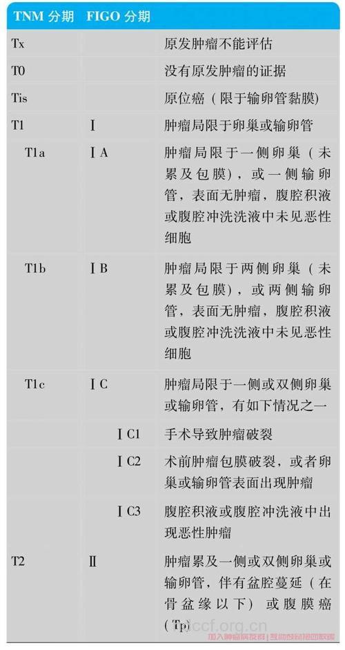 卵巢癌扩散及分期