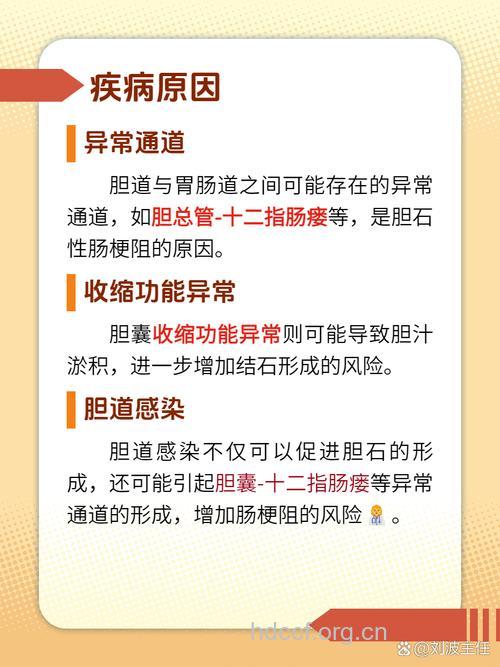 什么胆石性肠梗阻?