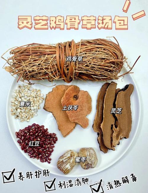中医治疗乙肝：鸡骨草饮