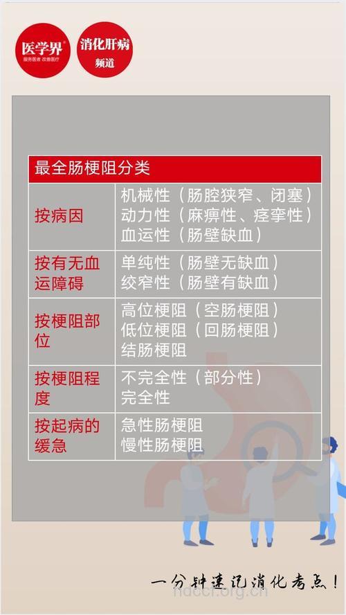 介绍肠梗阻的分类