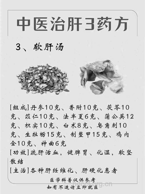 中医中药治疗肝病!