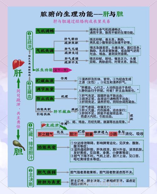 也说“肝胆同病同治”