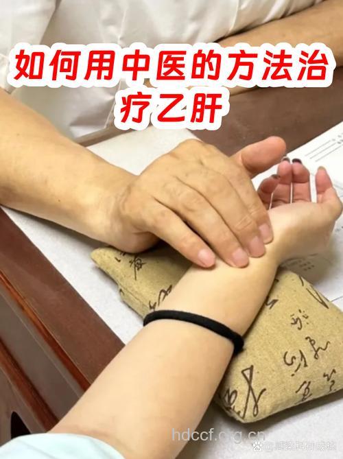 中医论剑:中医药对抗乙肝