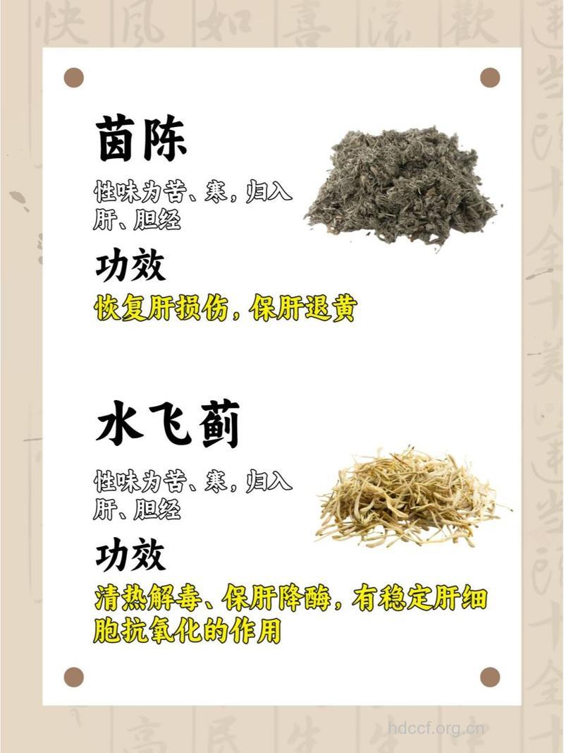 中药对抗乙肝的两个优势