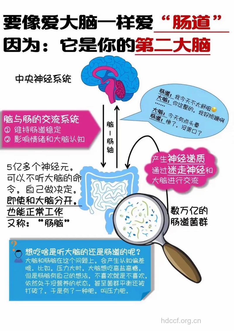 新概念:肝病肠脑解毒疗法