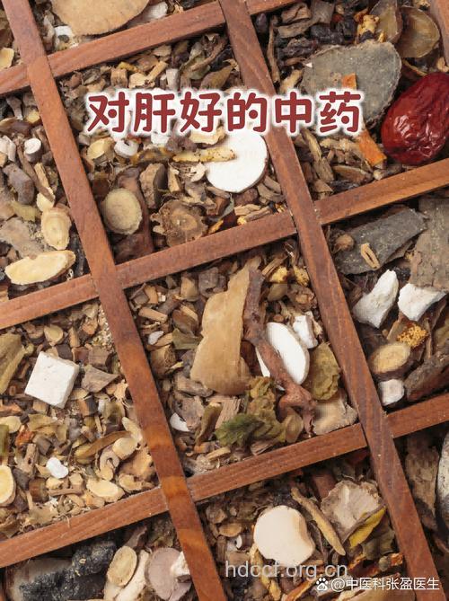 中药肝毒性,你知道多少