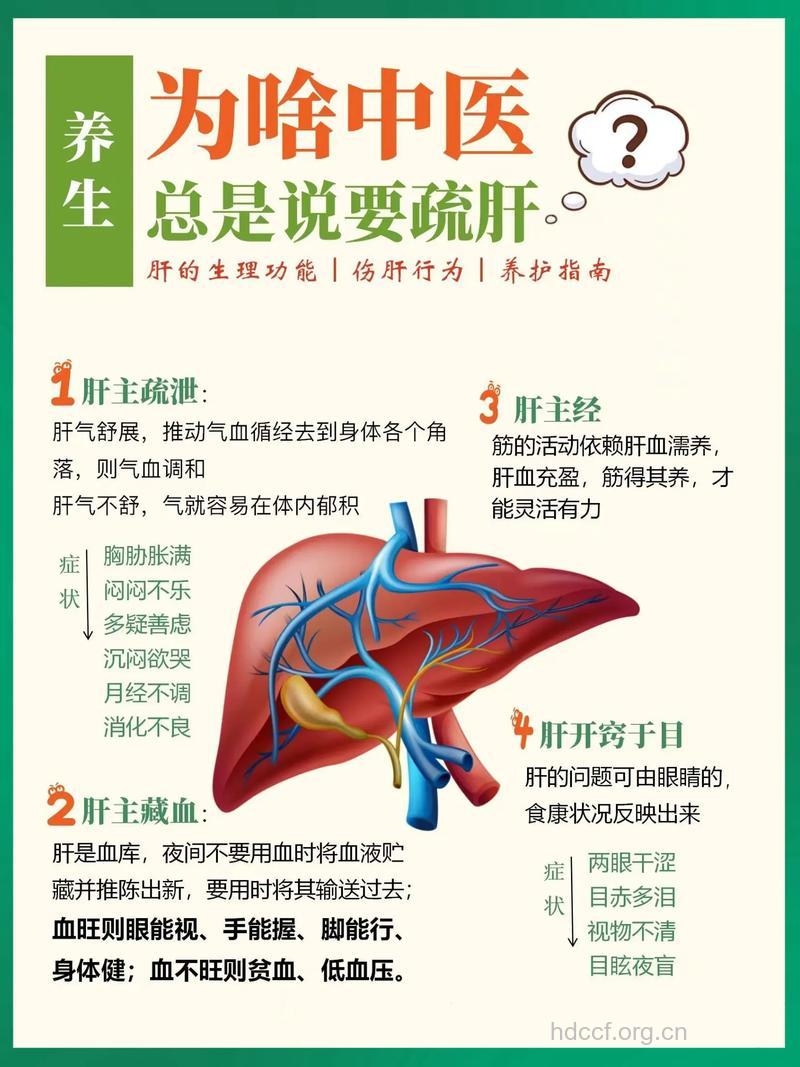 治肝病 中医十大必杀