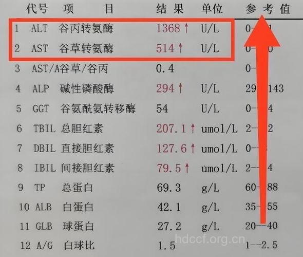 乙肝单纯降酶存在隐患