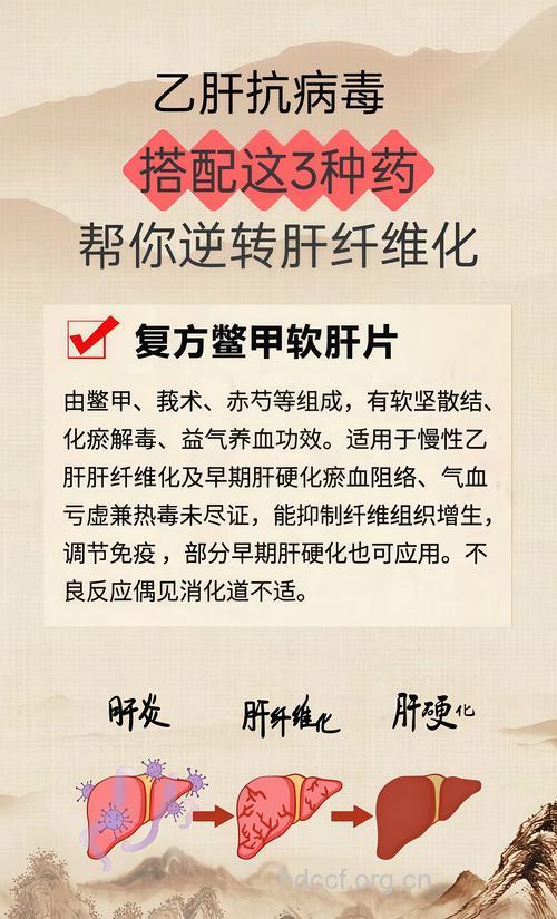 乙肝大三阳怎么抗纤维化
