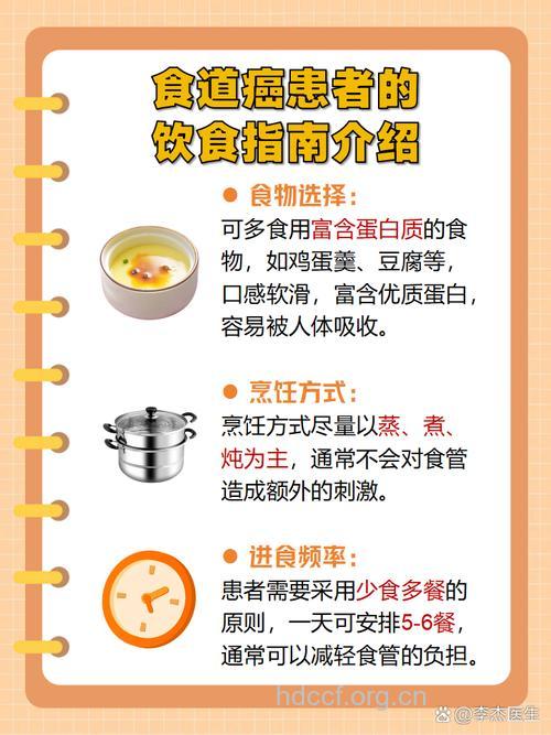 食道癌化疗期间的饮食注意