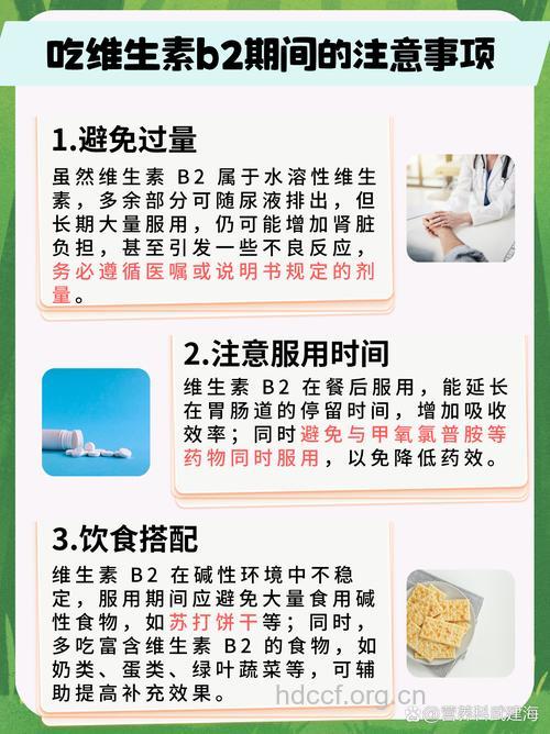 肌肉男怎么补充维生素B2