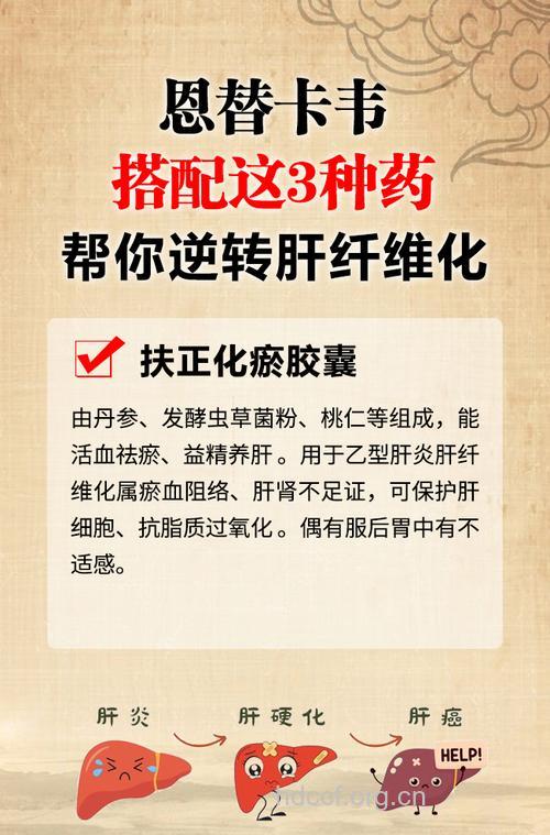 抗肝纤维化药物有哪些作用