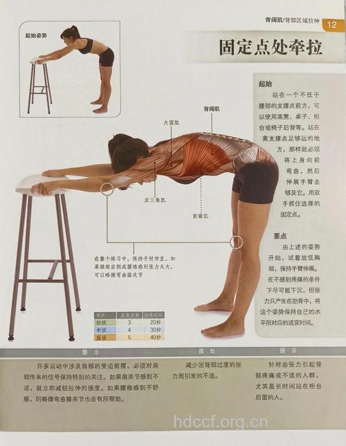 如何搞定纤柔美背