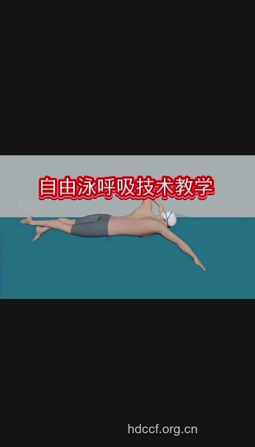 aquaticaerobics水中有氧操介绍