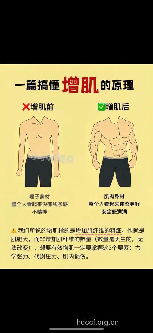瘦人应该如何进行增肌
