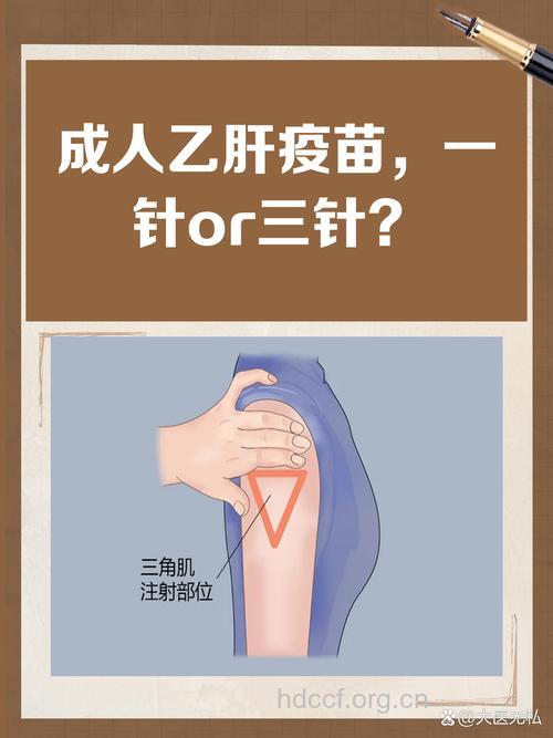 乙肝疫苗怎么“种”法?