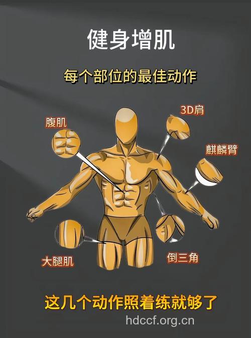 常刺激人体五部位健身强体