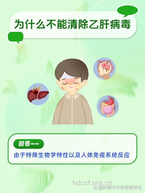 是不是不能清除乙肝病毒治疗就是无效？