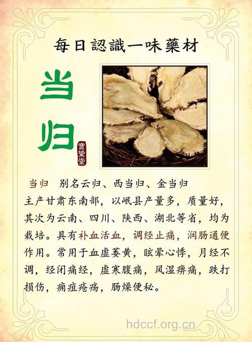 中医如何用当归治疗荨麻疹