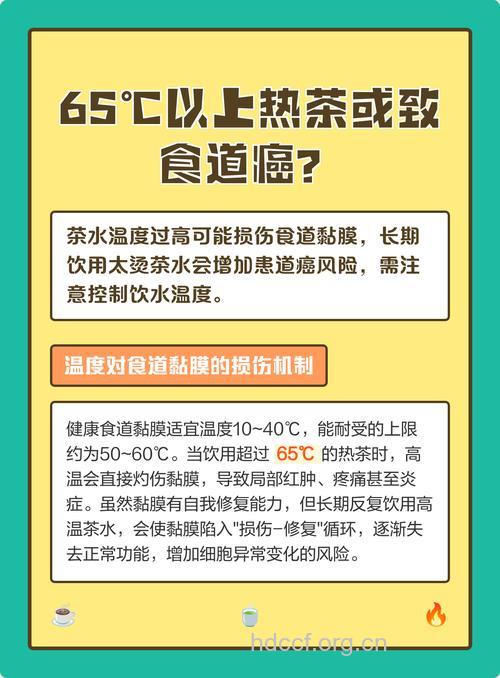 常饮浓而烫茶易致食道癌