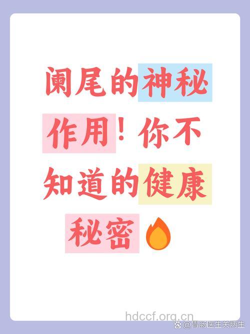 健康小知识阑尾真的多余吗